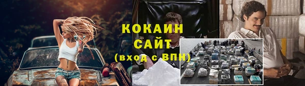 прущая мука Пересвет