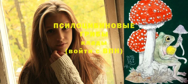 герыч Пестово