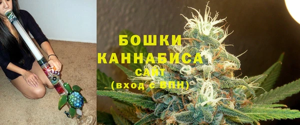 стафф Аркадак