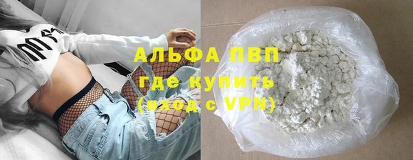 стафф Аркадак